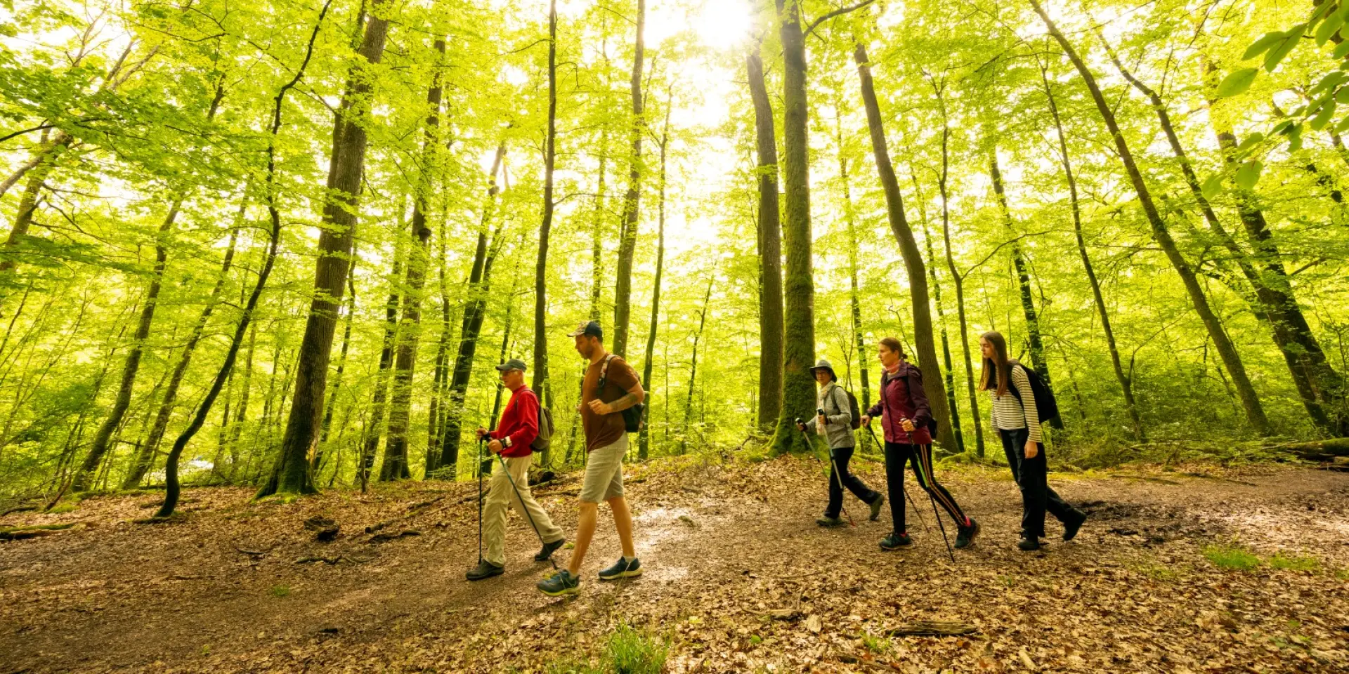 Foret De Berce Pascal Beltrami 3 Large 1