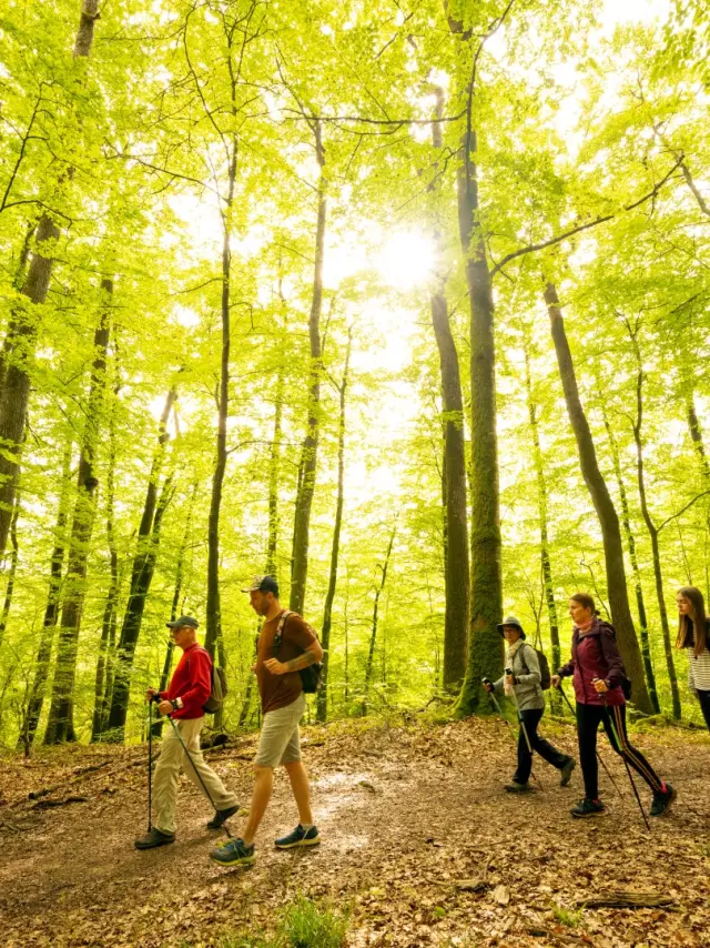 Pascal Beltrami Hogweed Boor 3 Groot 1