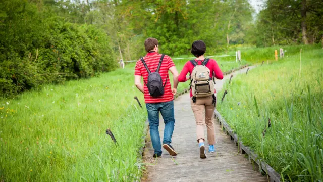 Moerassen van Cré-sur-le-Loir (72)