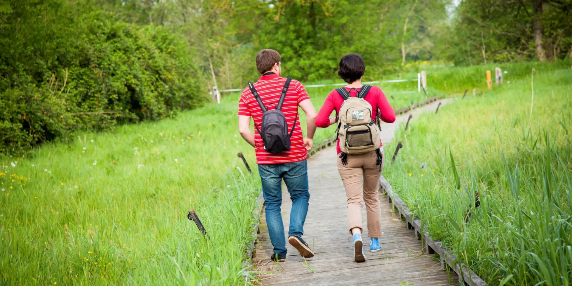 Marais de Cré-sur-le-Loir (72)