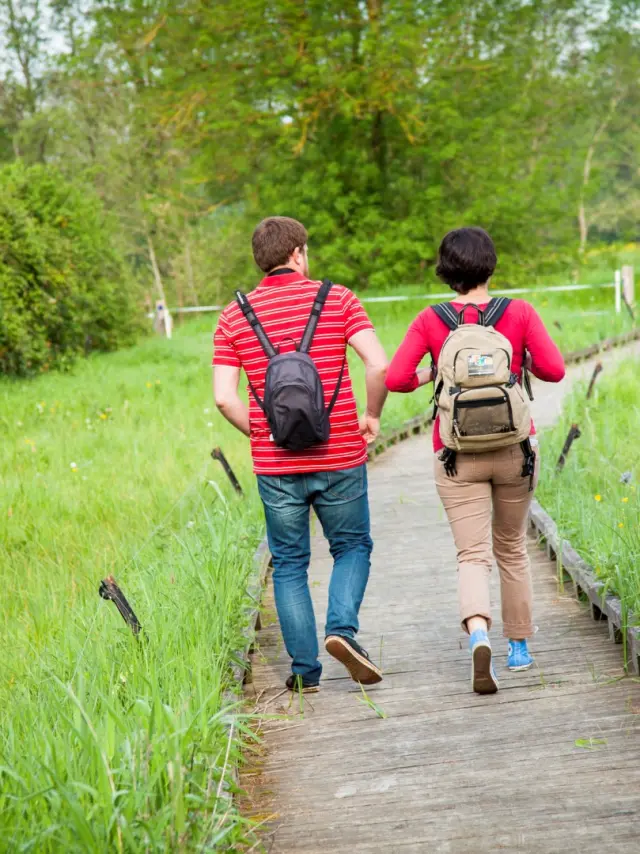 Marais de Cré-sur-le-Loir (72)