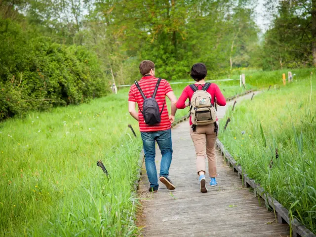 Marshes of Cré-sur-le-Loir (72)