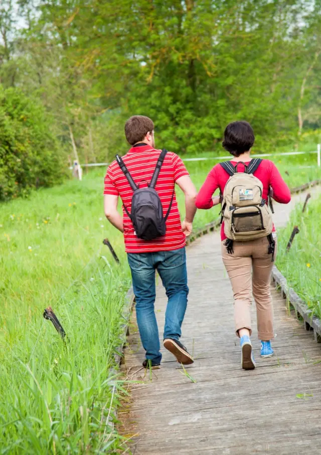 Marais de Cré-sur-le-Loir (72)