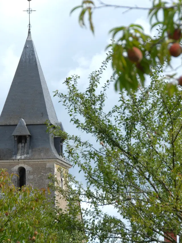 Mareil Sur Loir 27 08 2006 11