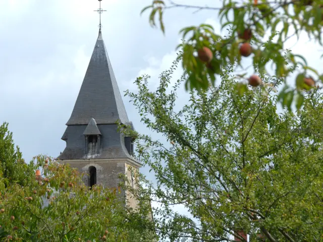 Mareil Sur Loir 27 08 2006 11