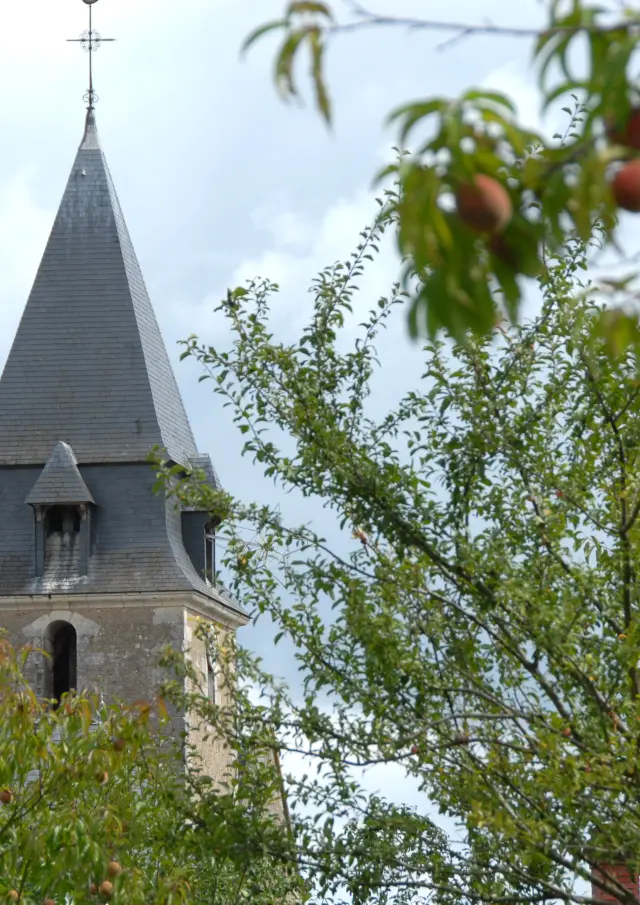 Mareil Sur Loir 27 08 2006 11