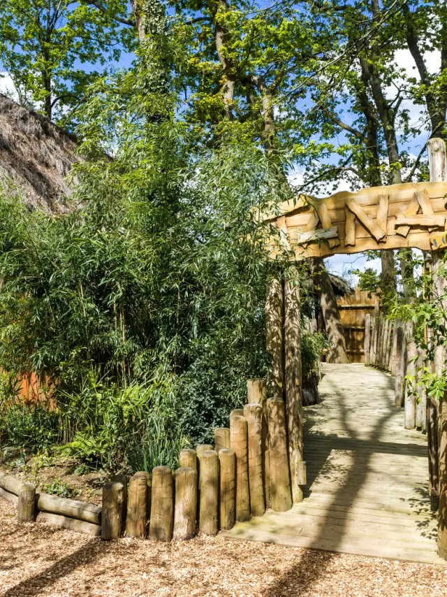 Lodge Zoo La Fleche S. Le Ludec Large