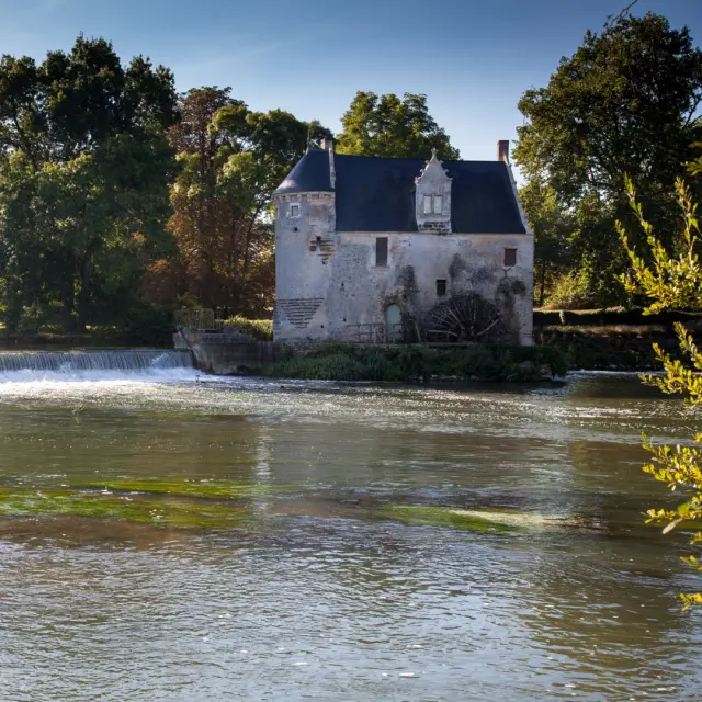 Bord de Loir à Luché-Pringé