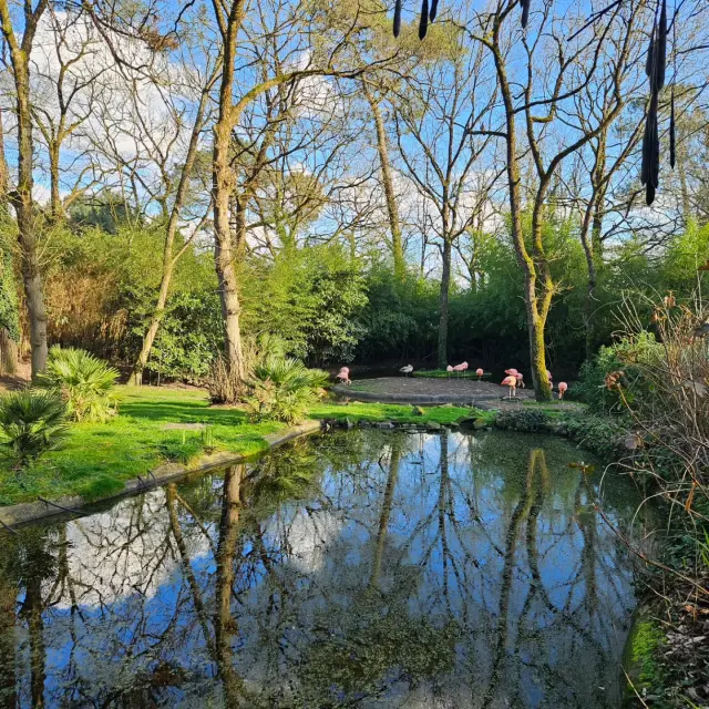 Instagram #zoodelafleche