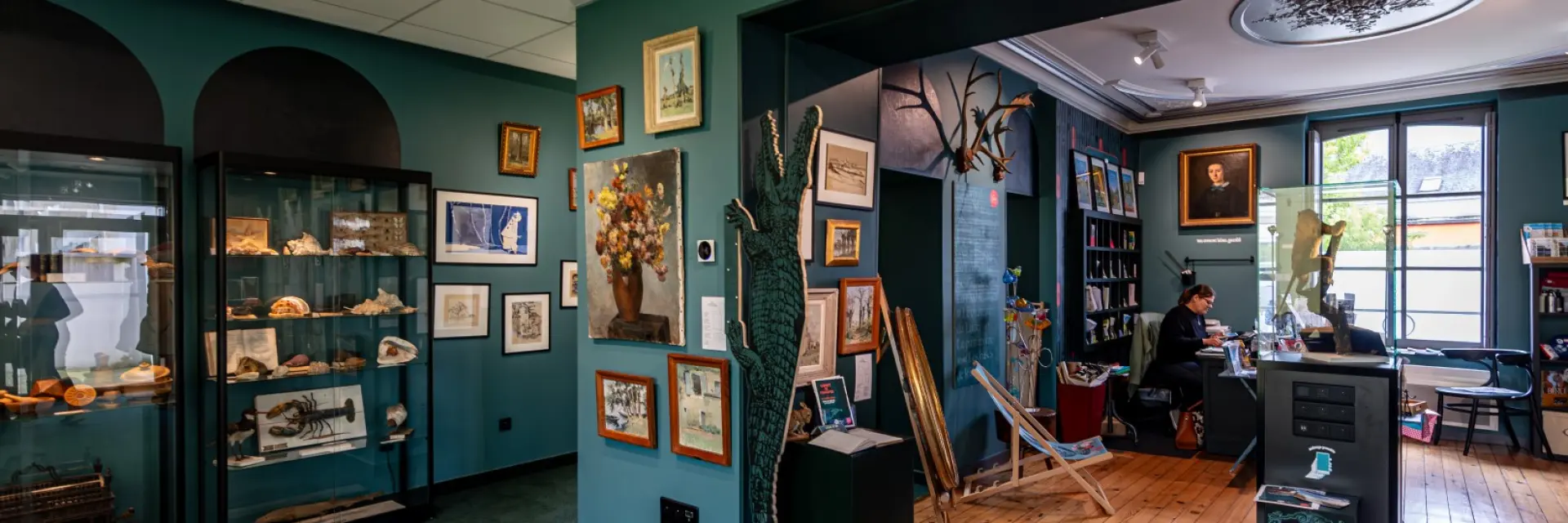 Cabinet De Curiosit├®s 2024 Nicolas Diolez Hd Large