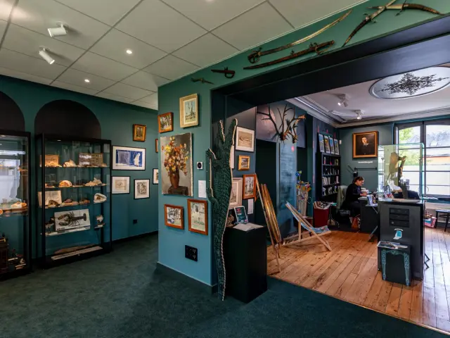 Cabinet De Curiosit├®s 2024 Nicolas Diolez Hd Large