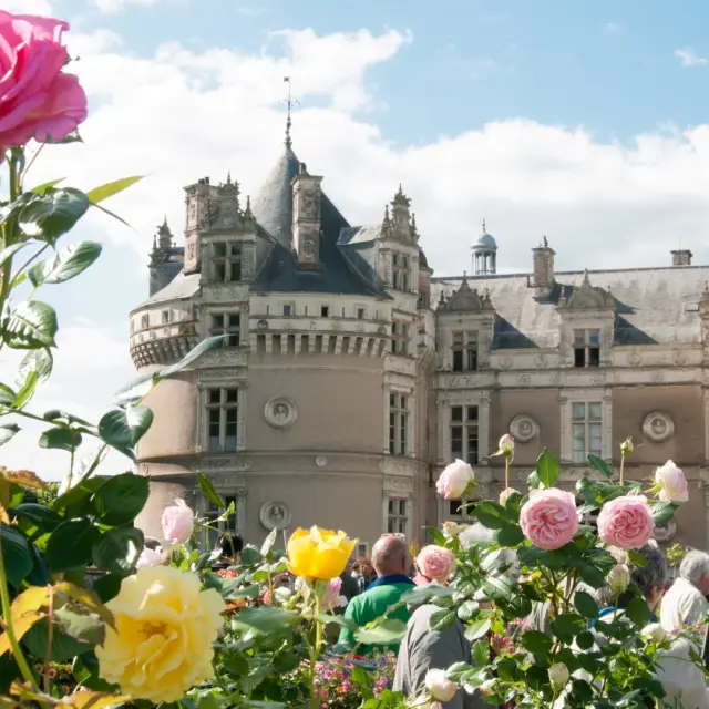 Week End Des Jardiniers Stevan Lira2 Large