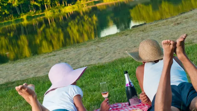 Pique Nique 2011┬®stevan Lira 9 Large