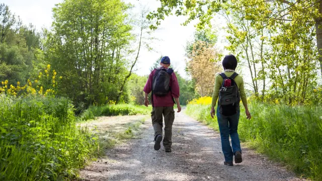 Randonnée pédestre sur les bords du Loir