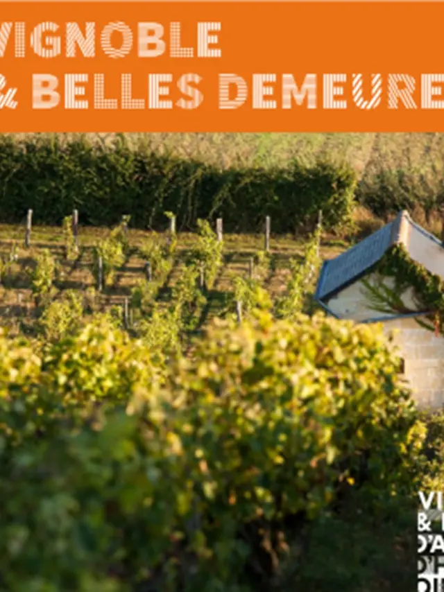 Couv Route Des Vins