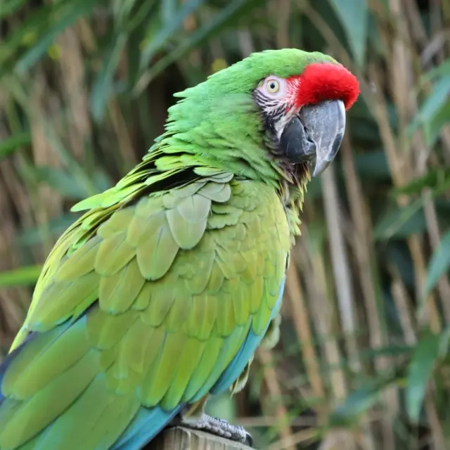 Instagram #zoodelafleche