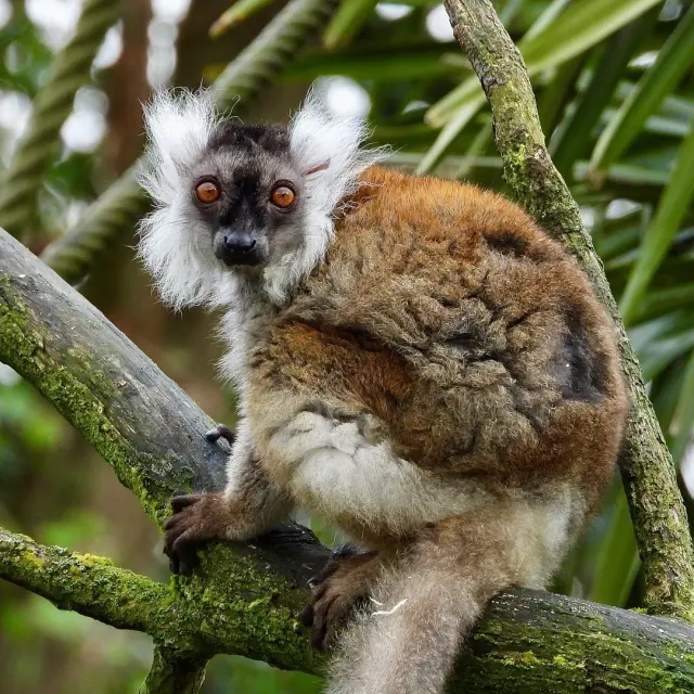 Instagram #zoodelafleche