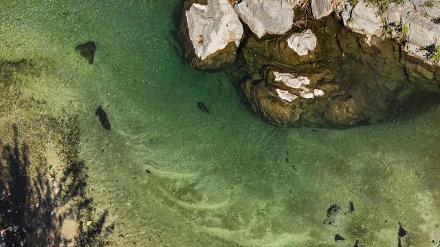 Plage Des Aviateurs