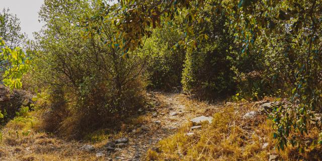 Via Domitia