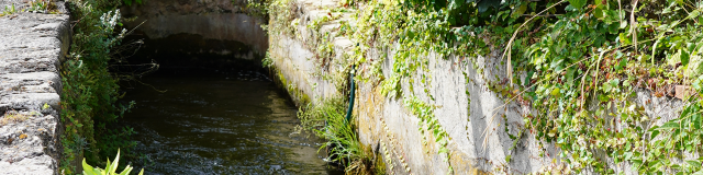 canal-darrosage.png
