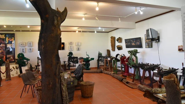 dsc-3231.jpg
