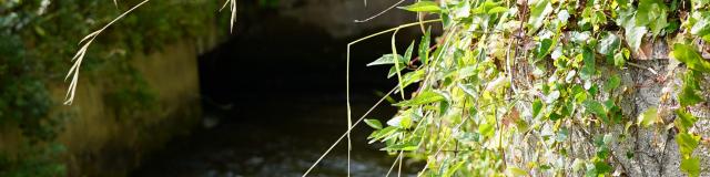 dsc08328-rotated.jpg