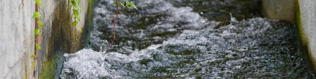 dsc08332-rotated.jpg