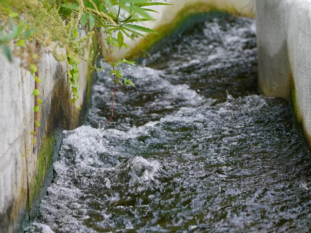 Canal d'arrosage
