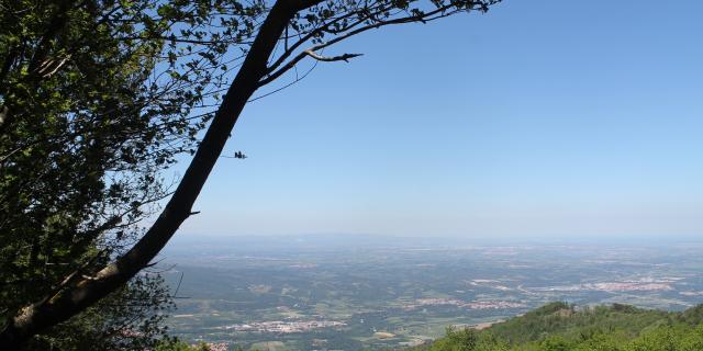 Fonfrède Vue