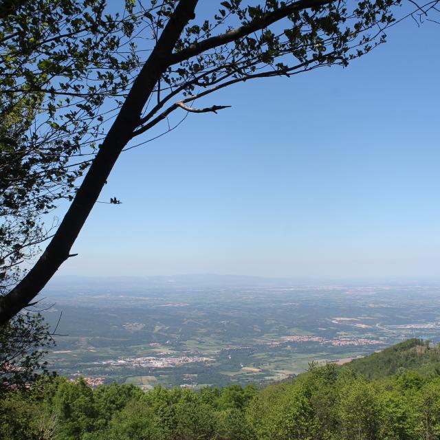 Fonfrède Vue