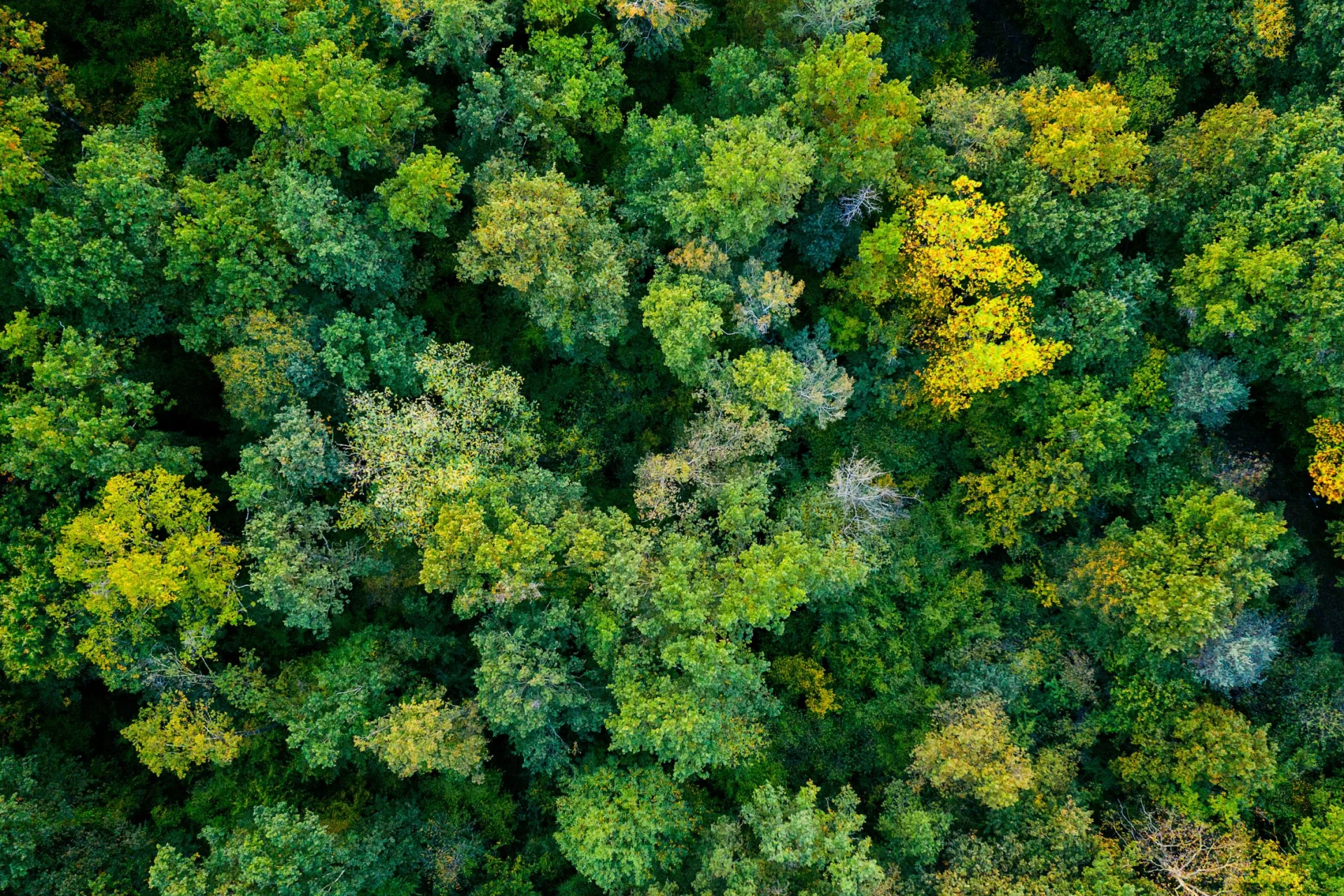 Adobestock 383540911 1