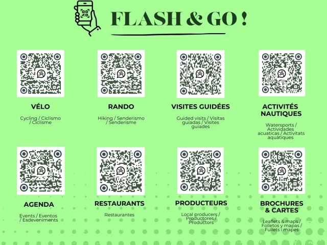 Copie De Affiche Flash Go