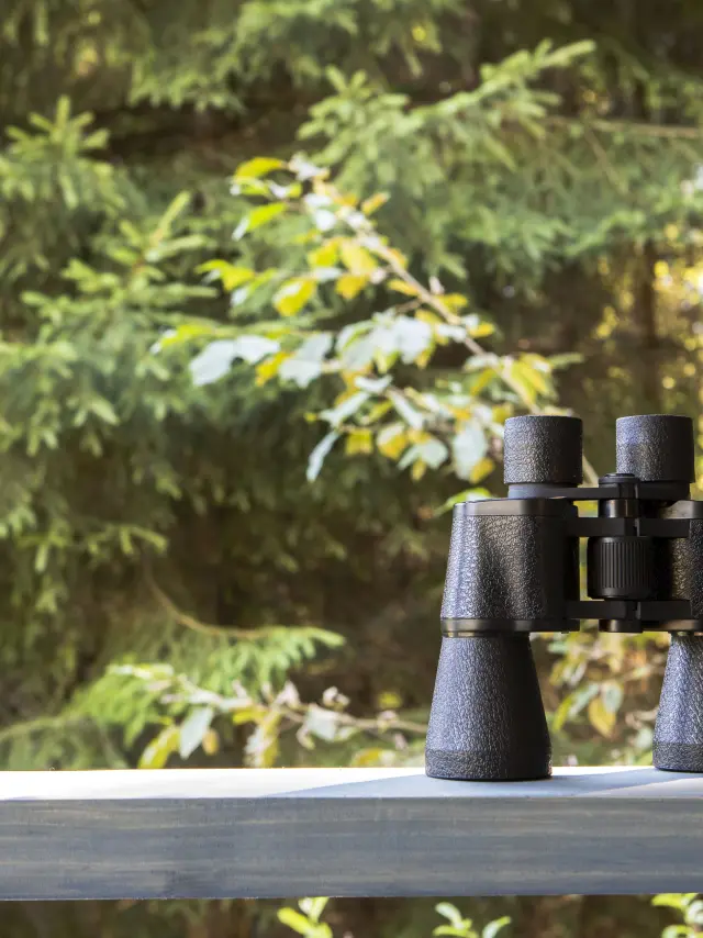 Observatoire touristique - Vallespir