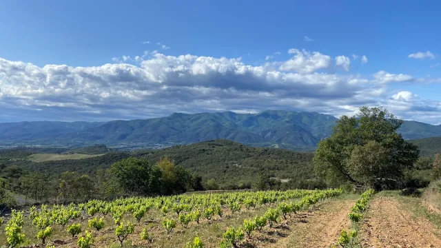 Finca de Jaca 