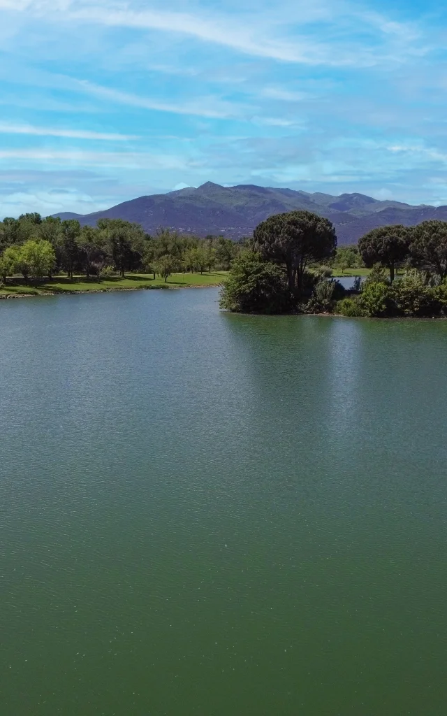 dji_fly_20250513_121400_977_1747131317032_photo-1.jpg