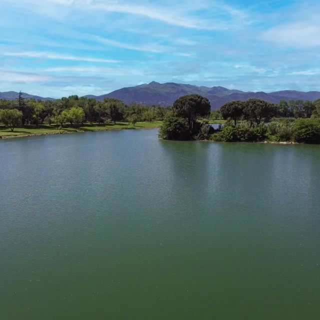 dji_fly_20250513_121400_977_1747131317032_photo-1.jpg