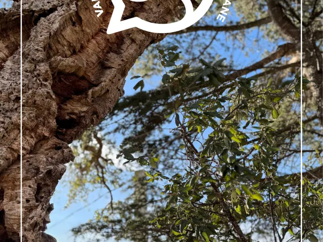 Couverture Agenda Mars