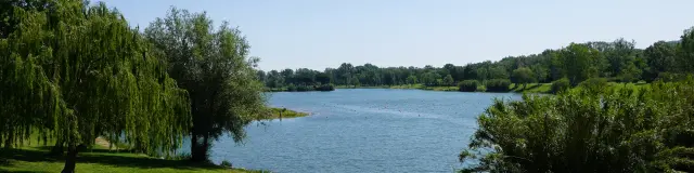 Dsc00942