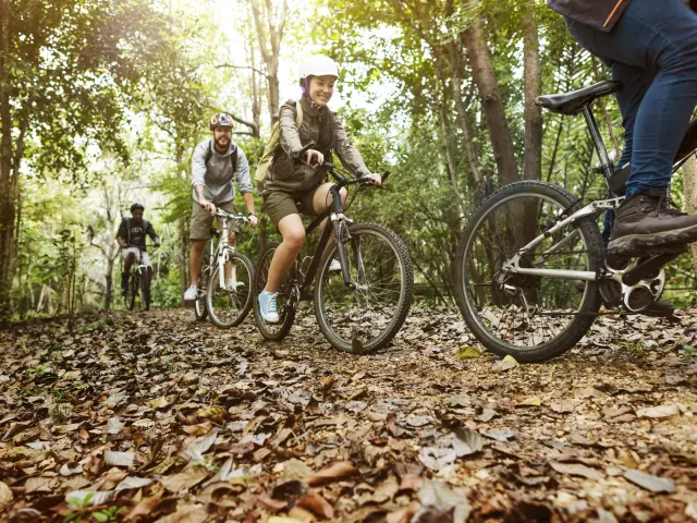 Group Friends Ride Mountain Bike Forest Together 1