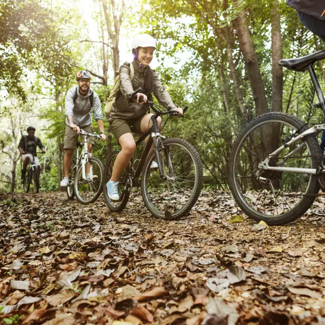 Group Friends Ride Mountain Bike Forest Together 1