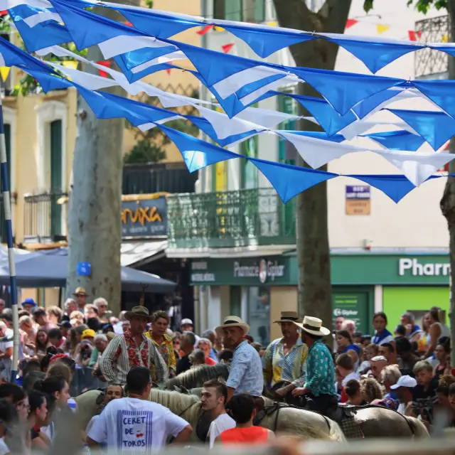 feria-de-Ceret-Julien-Juanola