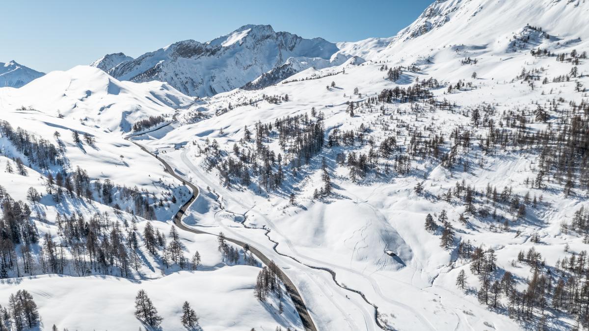 Vars 官方 La Forêt Blanche 实景图
