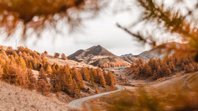 Les couleurs flamboyantes de l'automne à Vars