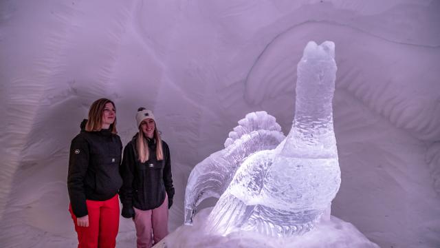 Grotte De Glace