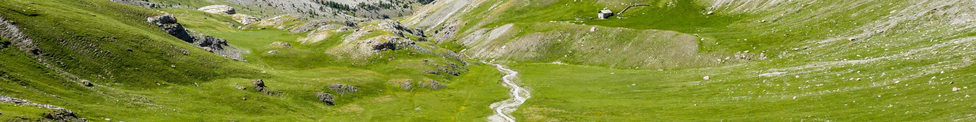 2020 220620160052 Rémi Morel Ot Vars