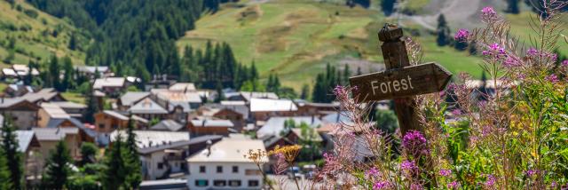Alpesphotographies.com Vars Sainte Marie (1)