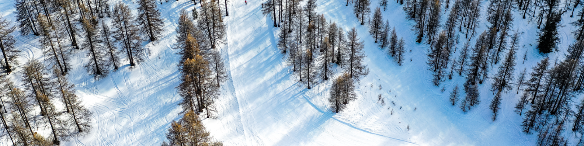 Domaines Skiables Des Alpes Du Sud Vars