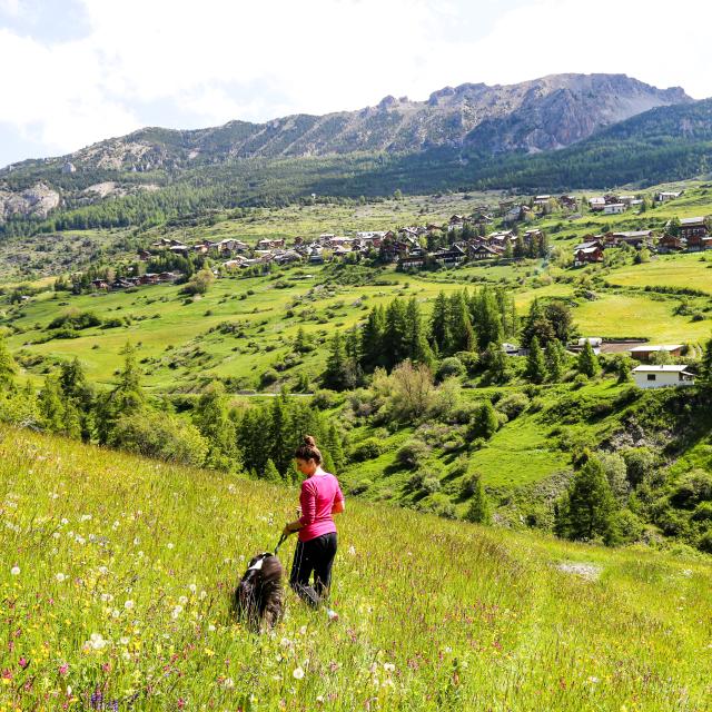 Lea Scappini Ot Vars 481