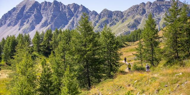 Trail de Razis - VMT