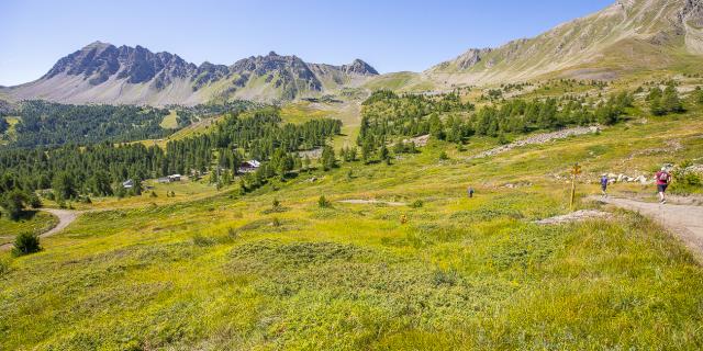 Trail de Razis - VMT